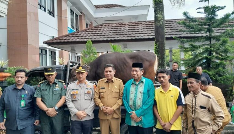 IMG-20250603-WA0008-1024x768-1024x585