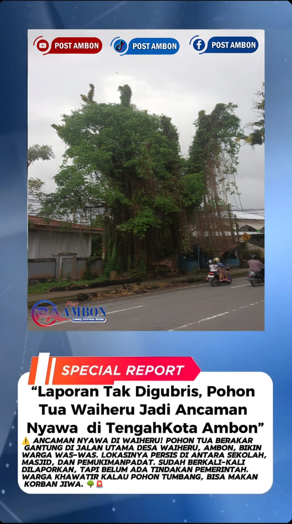 Picsart_25-09-27_18-55-28-052