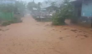 IMG_20251213_16480558